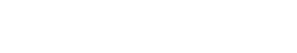 Everfox logo