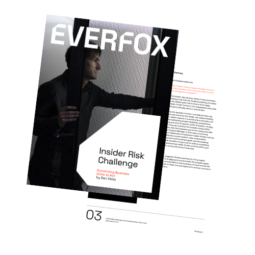 The Insider Risk Challenge
